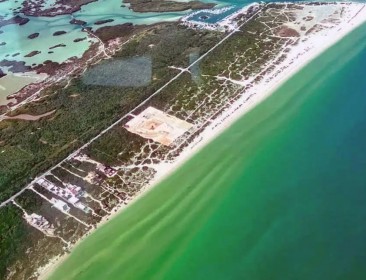 Las Dunas de Chuburná: la crisis que nadie quiere comunicar